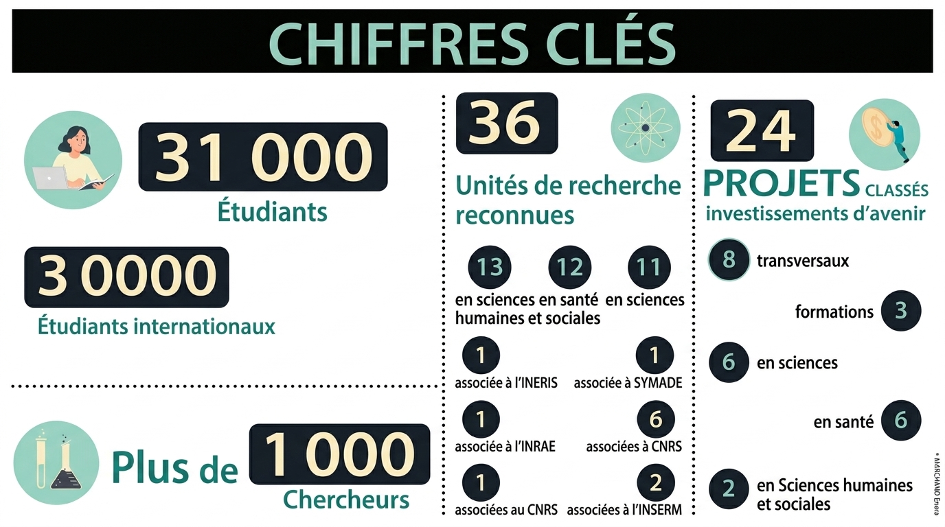 Chiffres clés © Marchand Enora