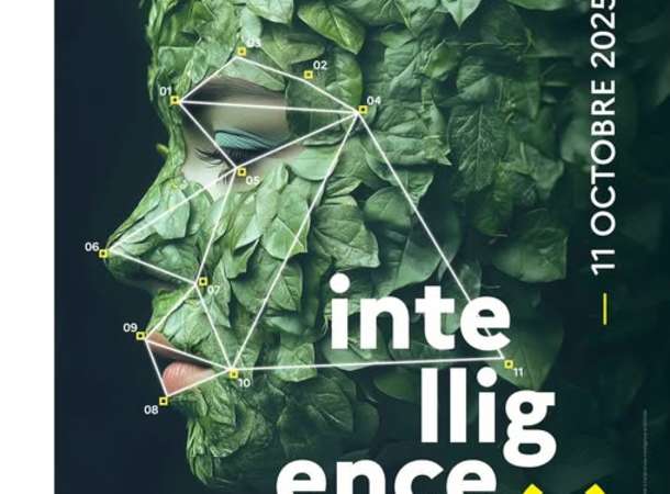 Fête de la science 2025 © Ministère ESR