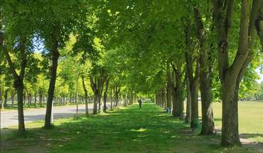 Parc de la Hotoie Contre Allée © D.R.