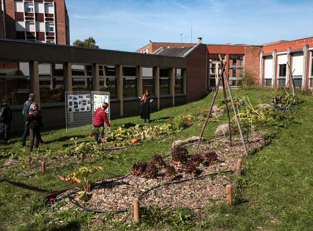 potager potager