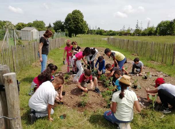 Jardin partage