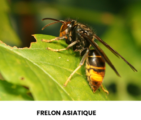 Photo FA page de garde