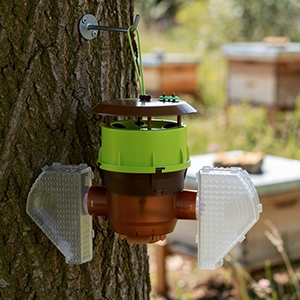 Piège à ailes © D.R.