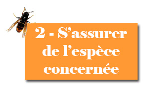 Que faire partie 2