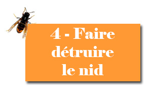 que faire partie 4